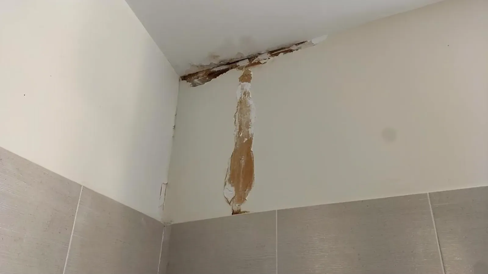 Paint peeled away along the junction of an interior drywall wall and ceiling, water staining on the drywall behind it